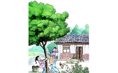 ���꼶���Ľ̰������꡷����15ƪ