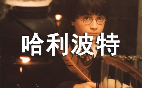 ������ǹ�����������