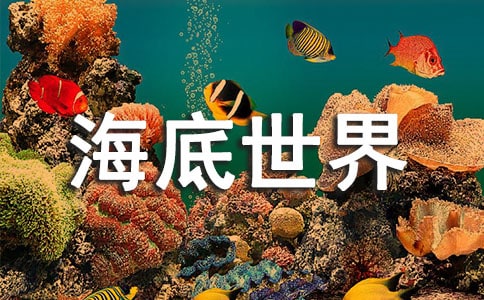 ���꼶���ĺ�������̰�