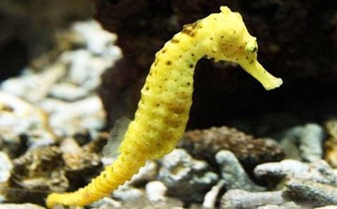 ��д�������������ӣ���ѡ110�䣩