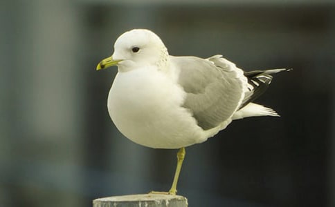 ��Ÿ���ռ�