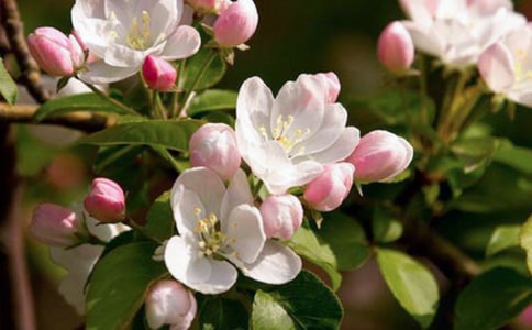 �������������ķ��ģ���ѡ3ƪ��