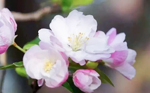 �йغ��������������ģ�ͨ��17ƪ��