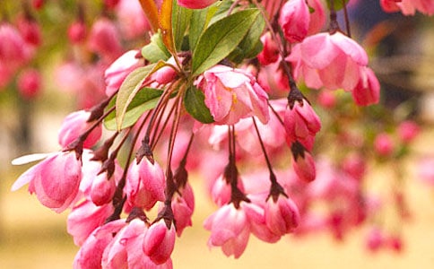 ���㺣����¼15ƪ