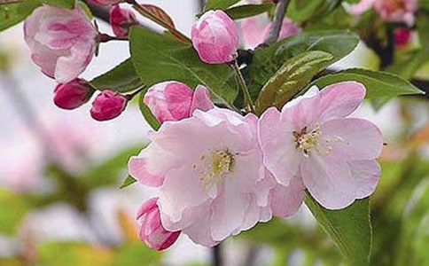 ���㺣�ľ���̨�ʾ��䡾15ƪ��