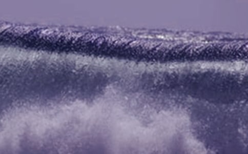 ���ں�Х������