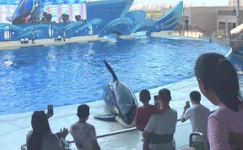 ����ۺ���԰Сѧ������