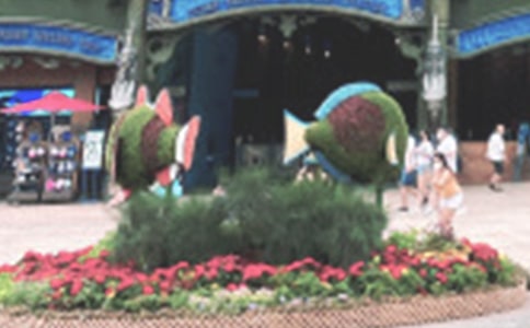 ���غ���԰����