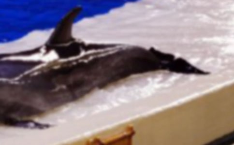 ������ͺ��ࡷ��ѧ���