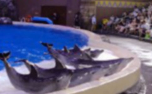 24��������ˡ�|�˽̰�