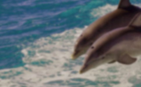 ����������������ģ�ͨ��3ƪ��