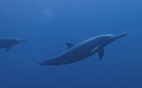 �����������������