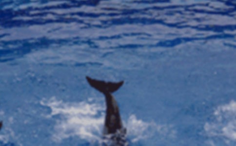 ��ϲ���ĺ�������