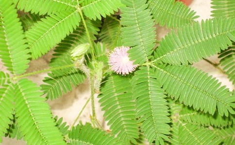 �����ߡ��ĺ��߲�����14ƪ