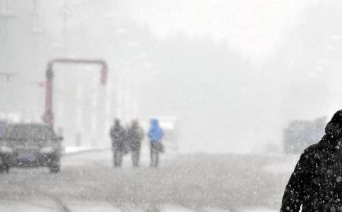 ������Ϯע�Ᵽů����