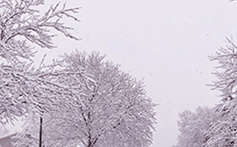 ���º�����Ϯ���ģ�ͨ��38ƪ��