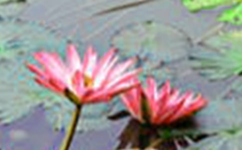 ��ѡ���ݺɻ��ľ���66��