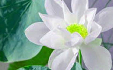 ӳ�պɻ������졪��������ʵʩʫ������ʵ���ʵ