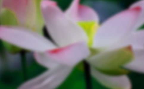 �йغɻ������Ļ���ƪ