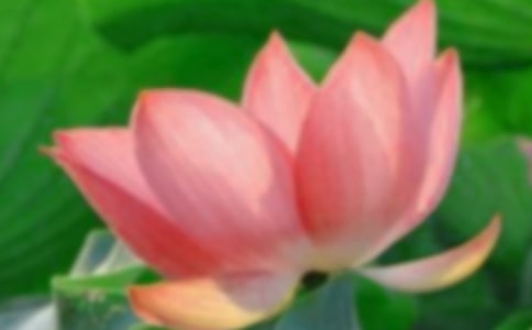 ���ݺɻ��ľ��Ӽ���65��