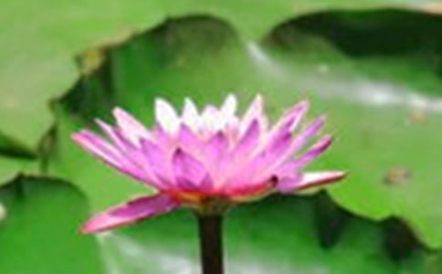 ��ѡ�ɻ������Ľ�����ƪ