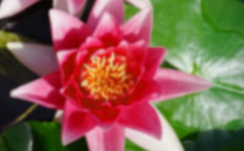 2023�����ݺɻ��ľ��Ӽ���44��