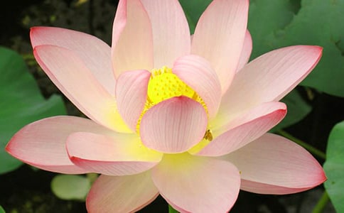 �ɻ������ռǣ�ͨ��33ƪ��