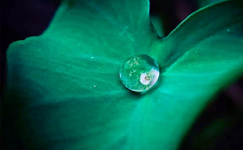 ��ҶԲԲ��ѧ���