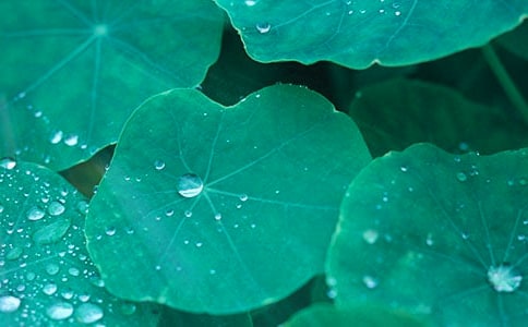 �¿γ̡���ҶԲԲ����ѧ��ƣ�ͨ��10ƪ��