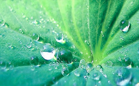 ����ҶԲԲ���̰���ѧ���