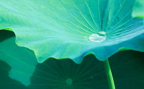 ����ҶԲԲ����ѧ��ư���