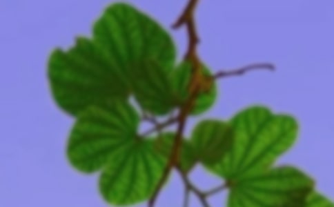 ��г�ﾳ����ᱣ�ϵļ�ֵ���