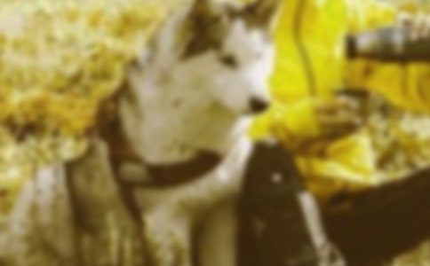 ��ǿ�����Ž���� �ٽ�����ȶ���г�����㱨