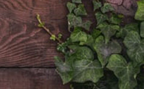 ��г����С������