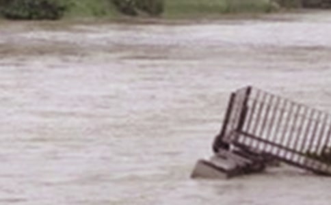 ���Ϻ�ˮ�������벹��������5ƪ