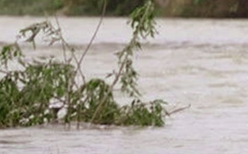 长江洪水与生态建设