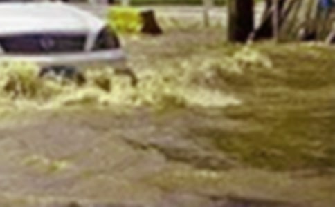 ��ˮ�������벹��������7ƪ