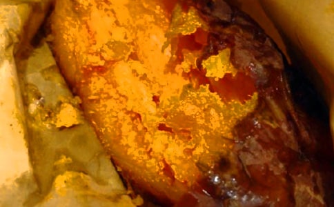 �������������ģ�ͨ��31ƪ��