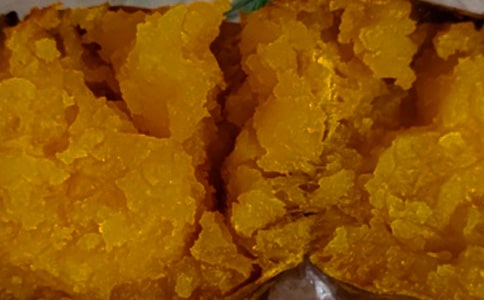 �ں�������15ƪ������