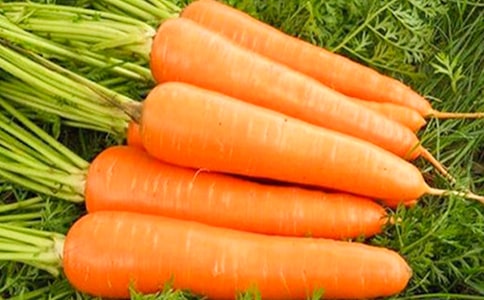 ���ϼ������ܲ������ĳ�������д����15ƪ