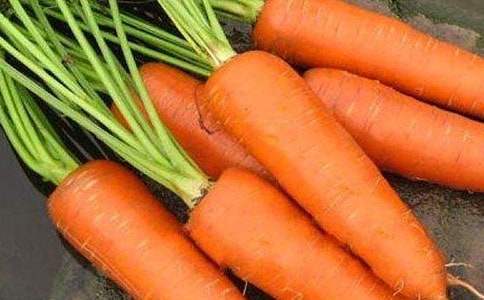 ���ܲ�����15ƪ