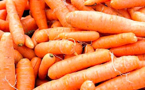 ���ܲ�������15ƪ