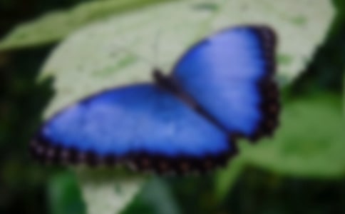 �������ļҡ��Ľ�ѧ���