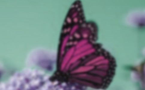 �а������̰���������15ƪ