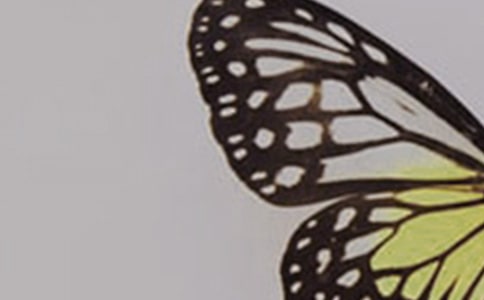 �а������̰�����������ࣨ6ƪ��