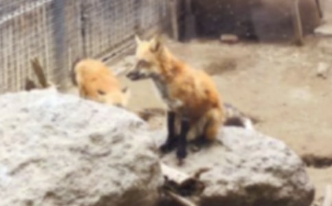 ��ù�ĺ���