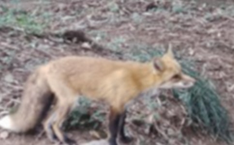 ���������ѻ����д����