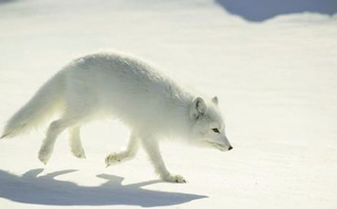 �������ѻ����(ͨ��15ƪ)