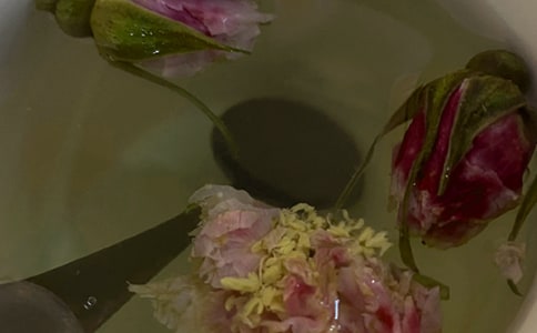 ����Ĺ𻨲��������ķ��ģ�ͨ��3ƪ��