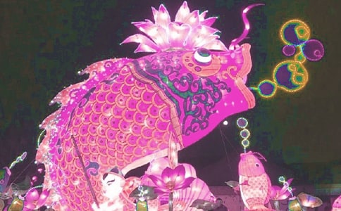 ����ʮ���տ���������